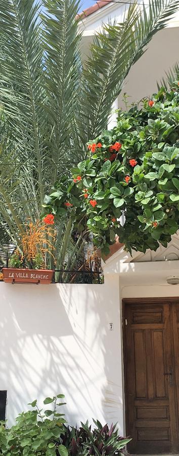 דקר La Villa Blanche מראה חיצוני תמונה
